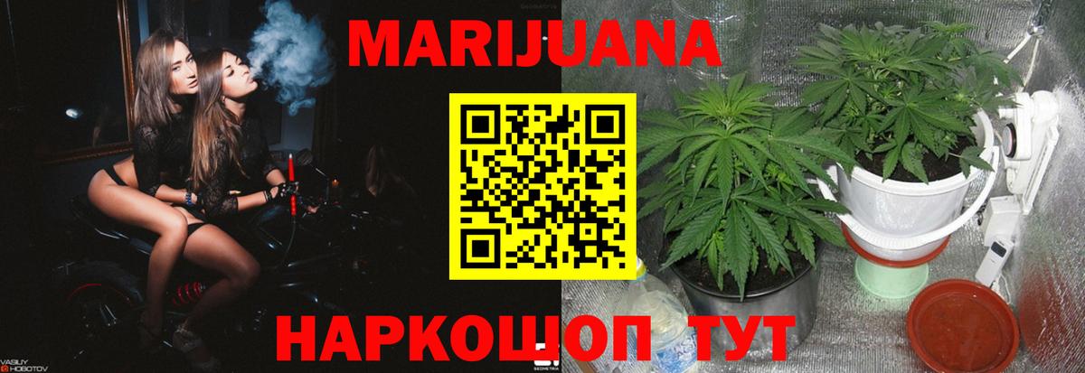 Шишки марихуана гибрид  Вход с VPN  Шишки марихуана план  Бошки марихуана OG Kush  Вязьма 